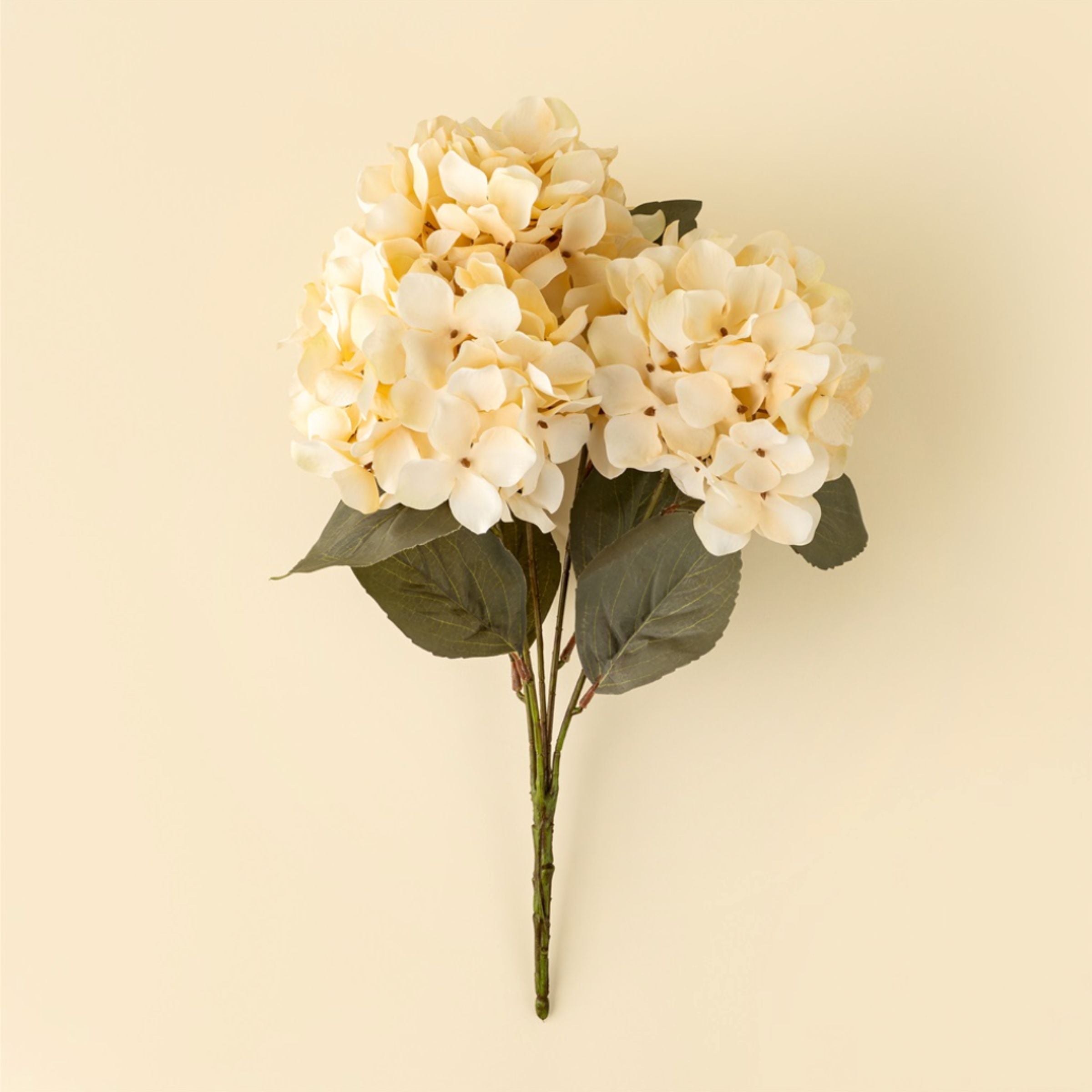Spring Hydrangea Spray