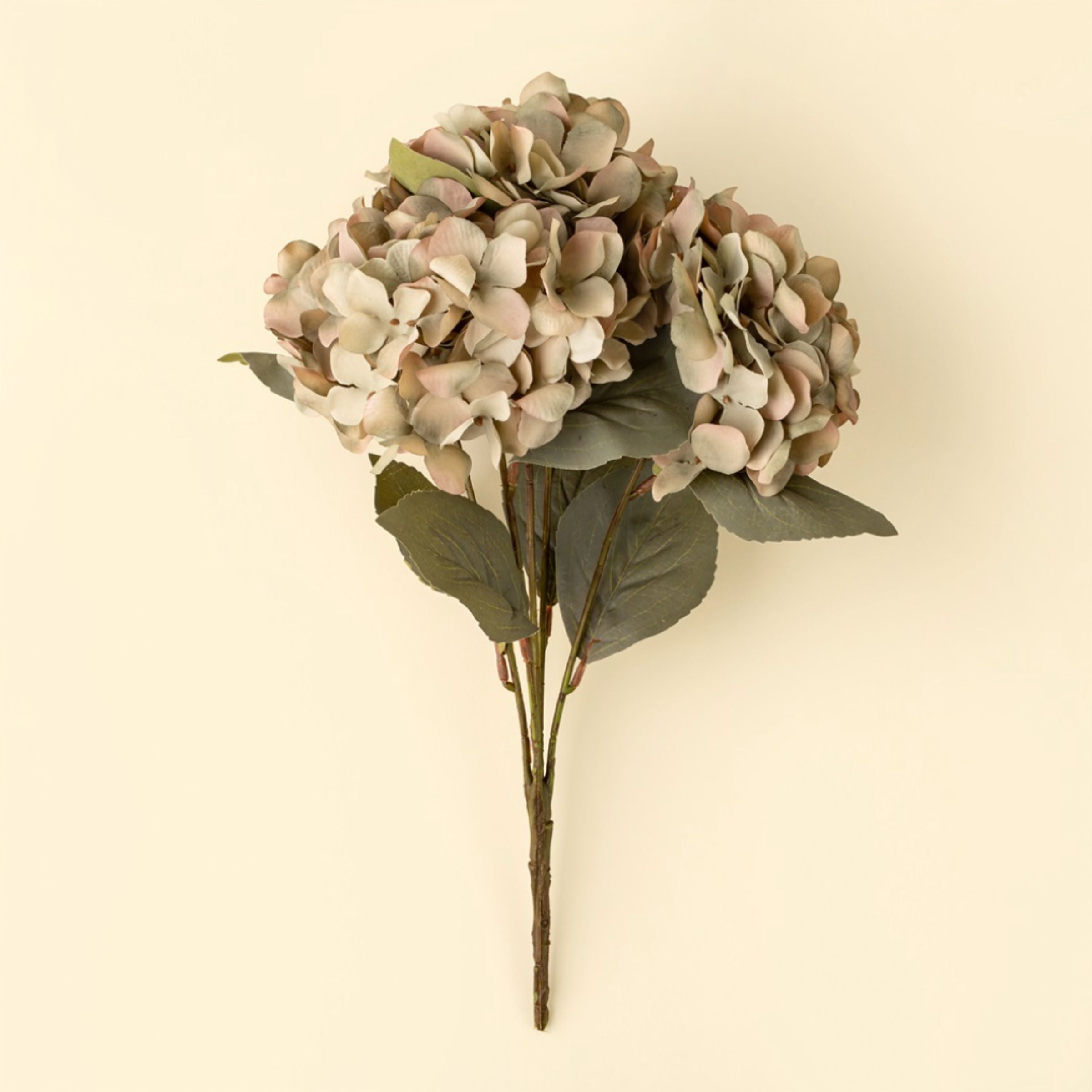 Spring Hydrangea Spray