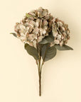 Spring Hydrangea Spray
