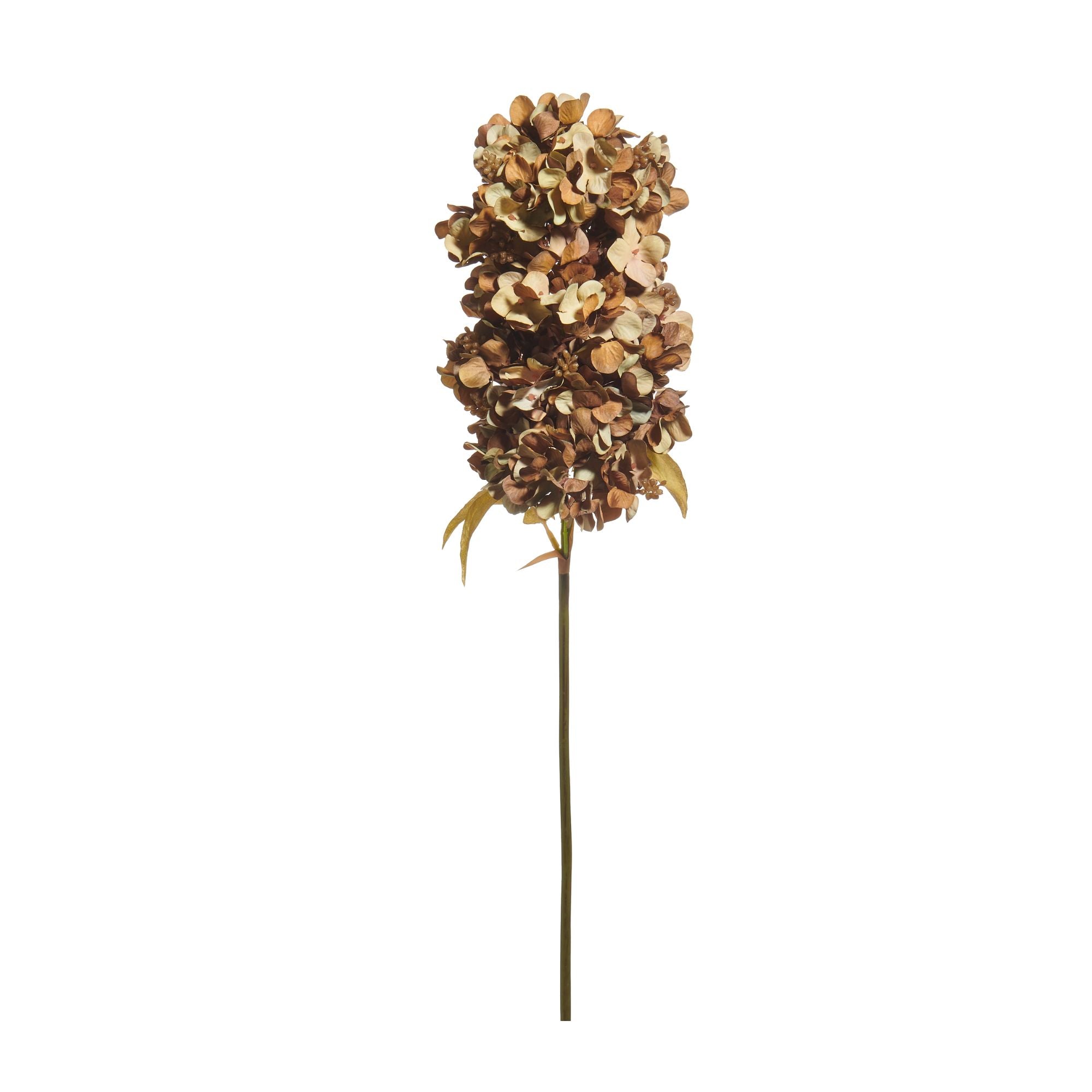 Brown Hydrangea Spray