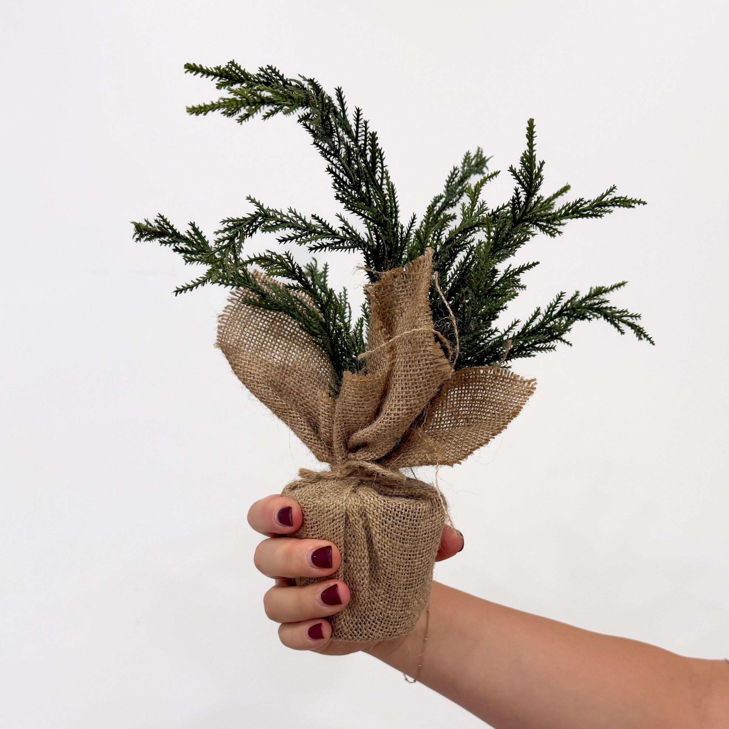 Burlap Cypress Tree