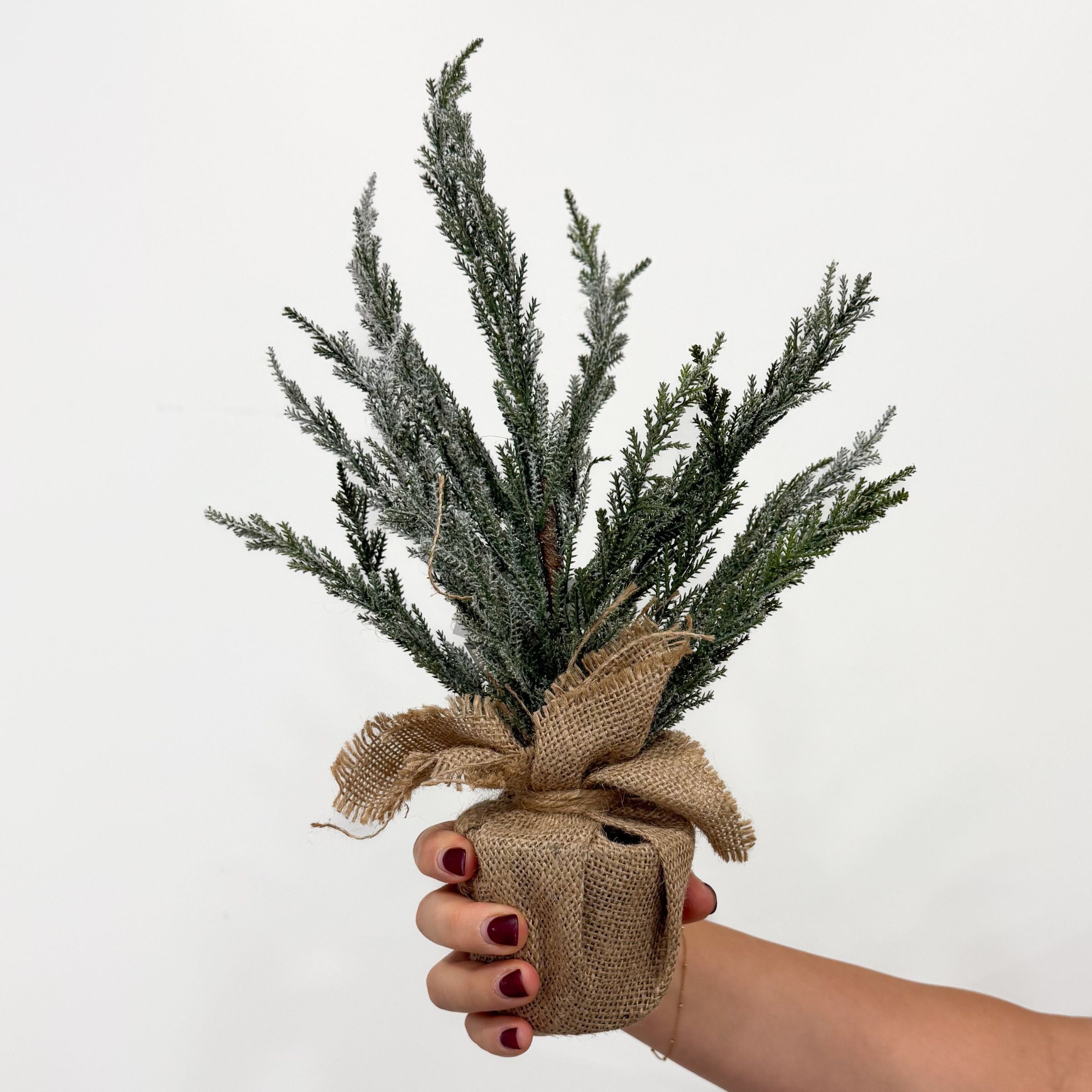 Burlap Frosted Cypress Tree