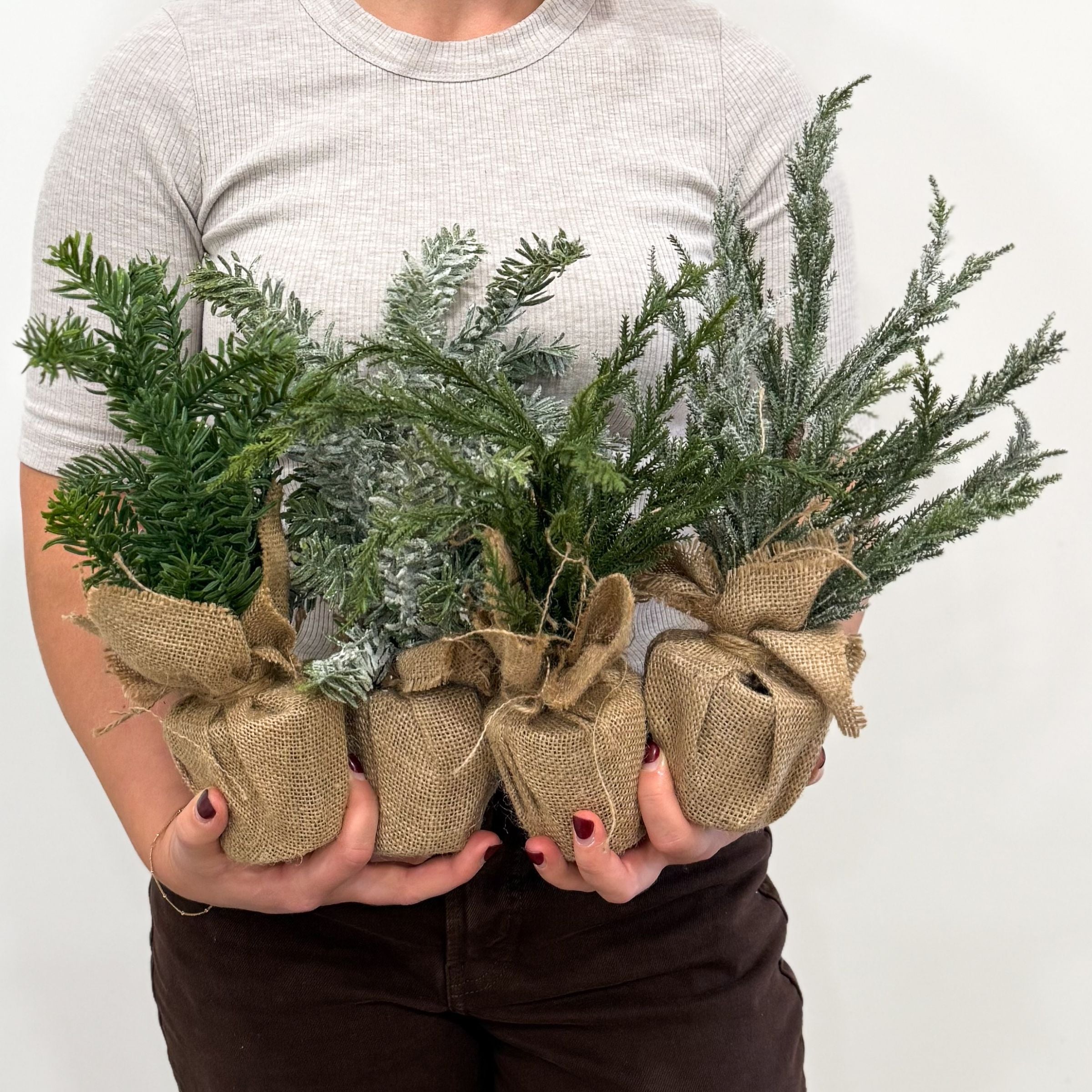 Burlap Cypress Tree