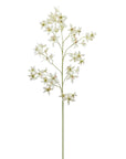 Dancing Oncidium Orchid Stem