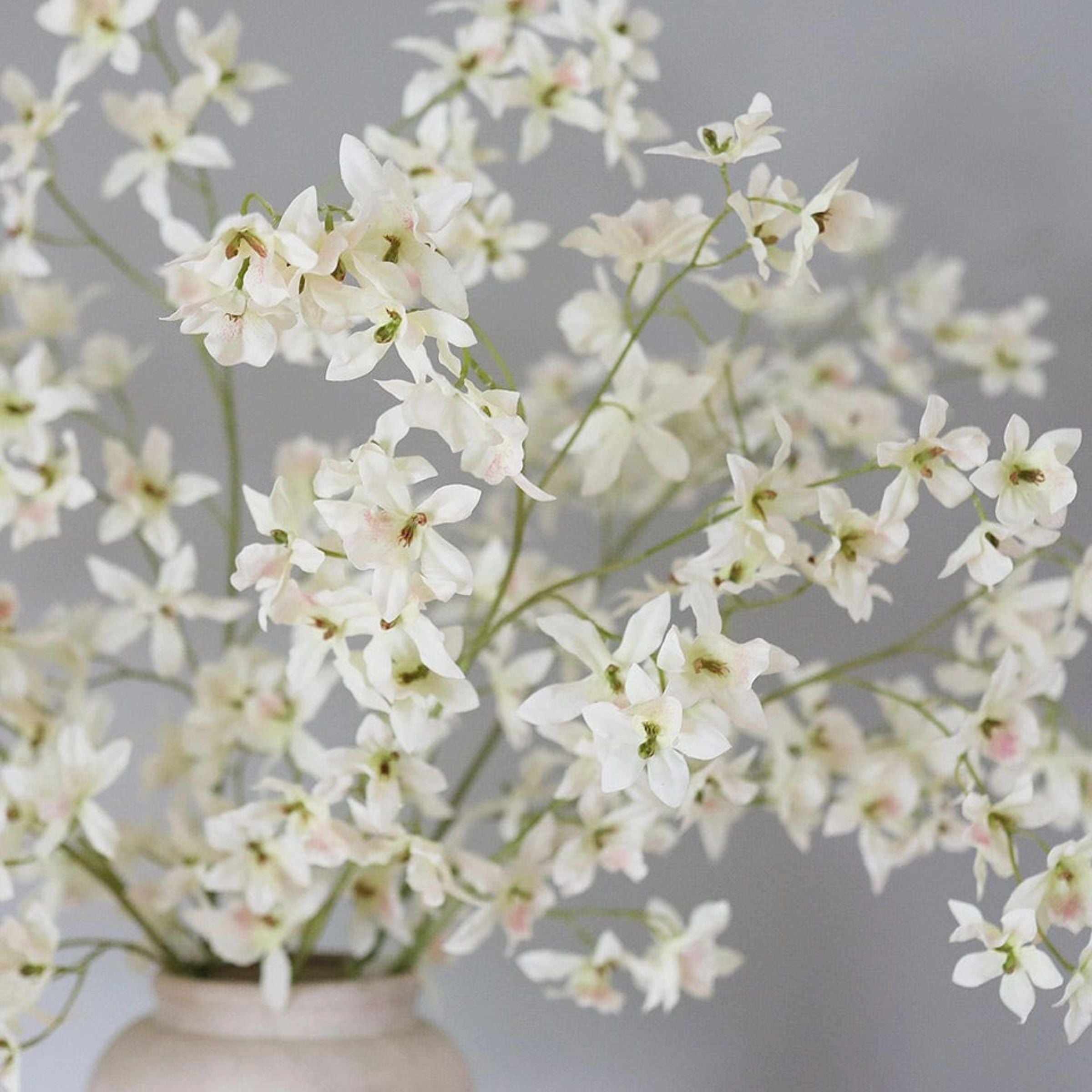 Dancing Oncidium Orchid Stem