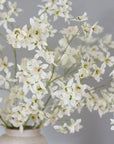 Dancing Oncidium Orchid Stem