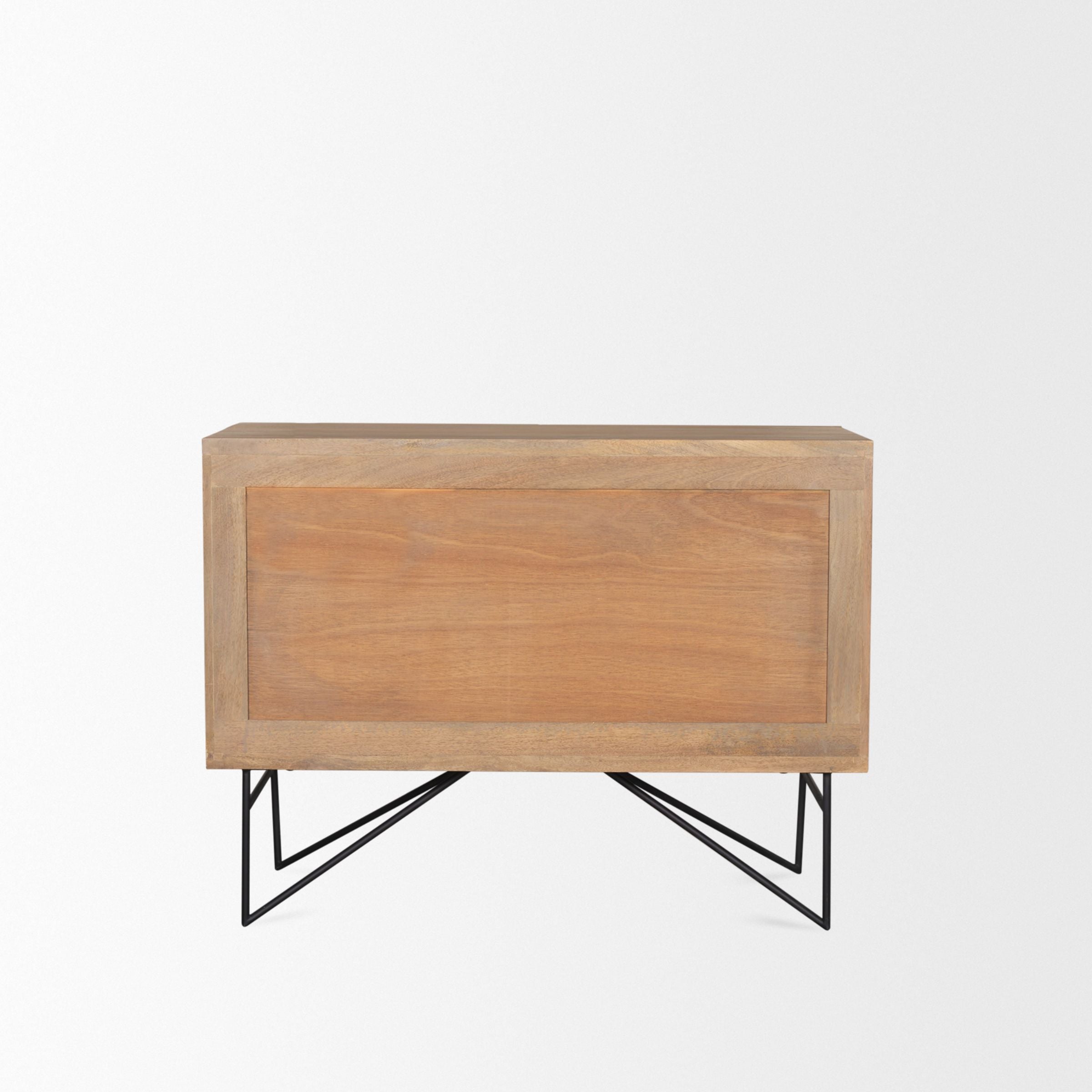 Darwin 2 Door Cabinet