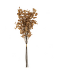 Dried Eucalyptus Bouquet | Brown