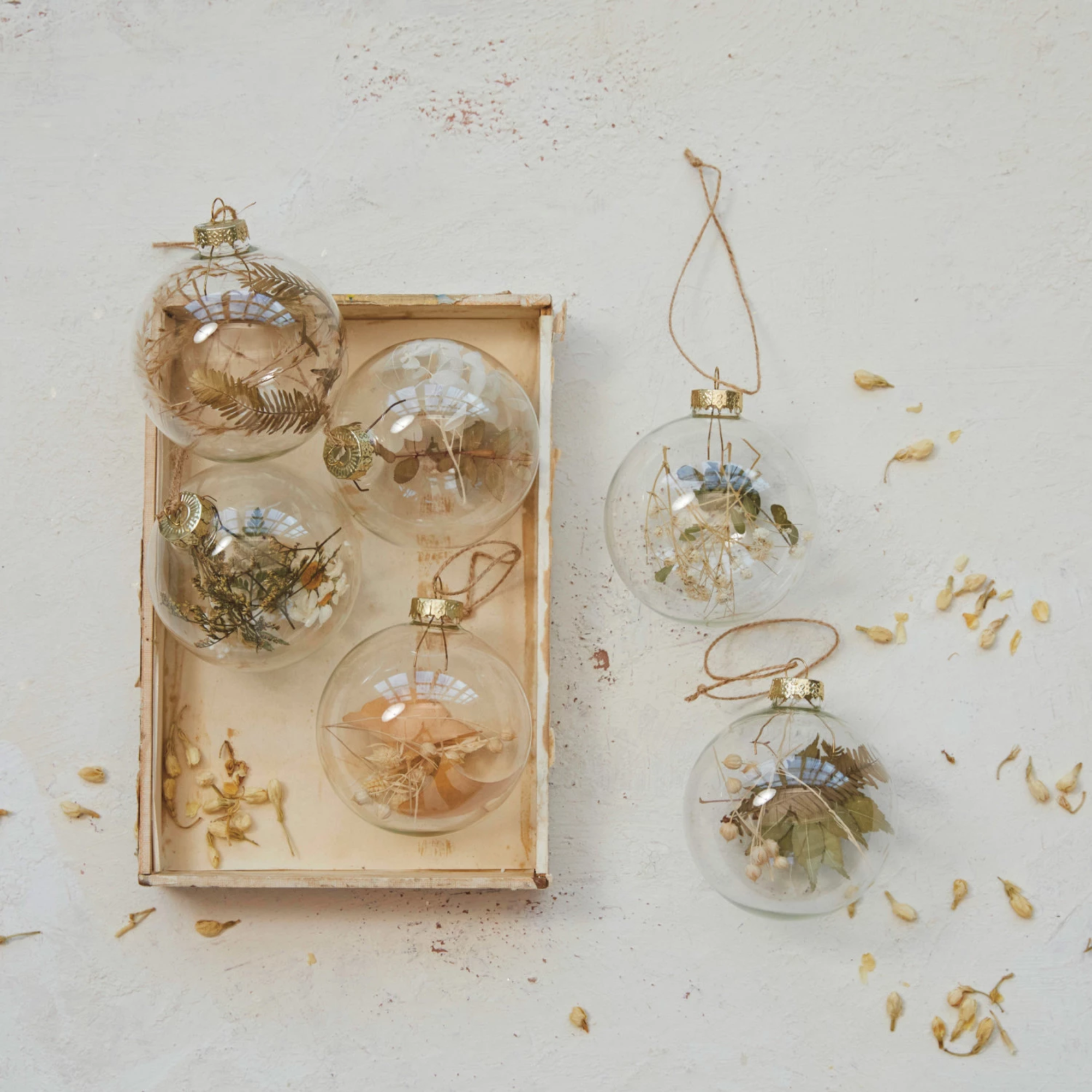 Dried Botanical Ornament (Set of 6)