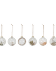 Dried Botanical Ornament (Set of 6)