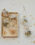 Dried Botanical Ornament (Set of 6)