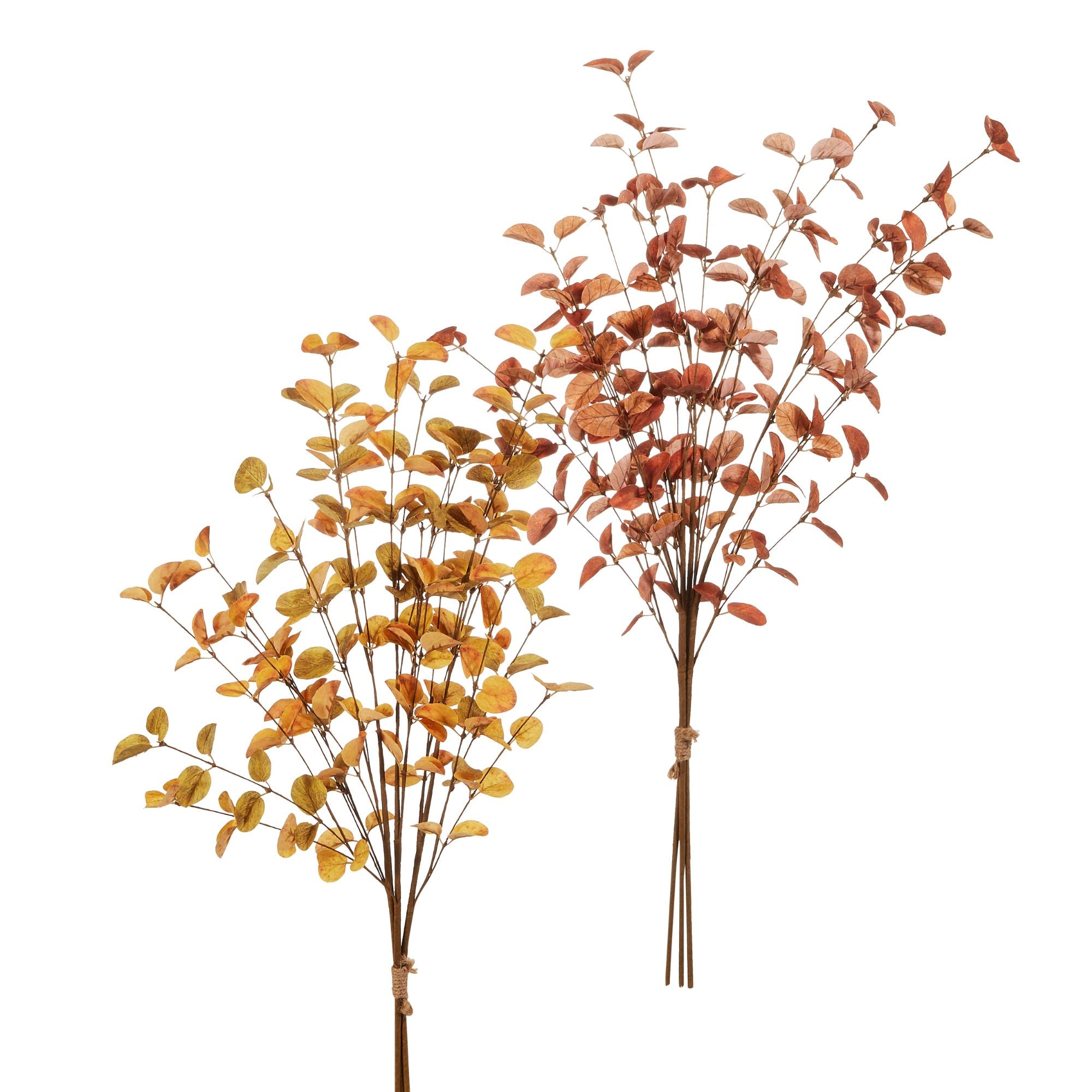 Fall Leaf Bundle