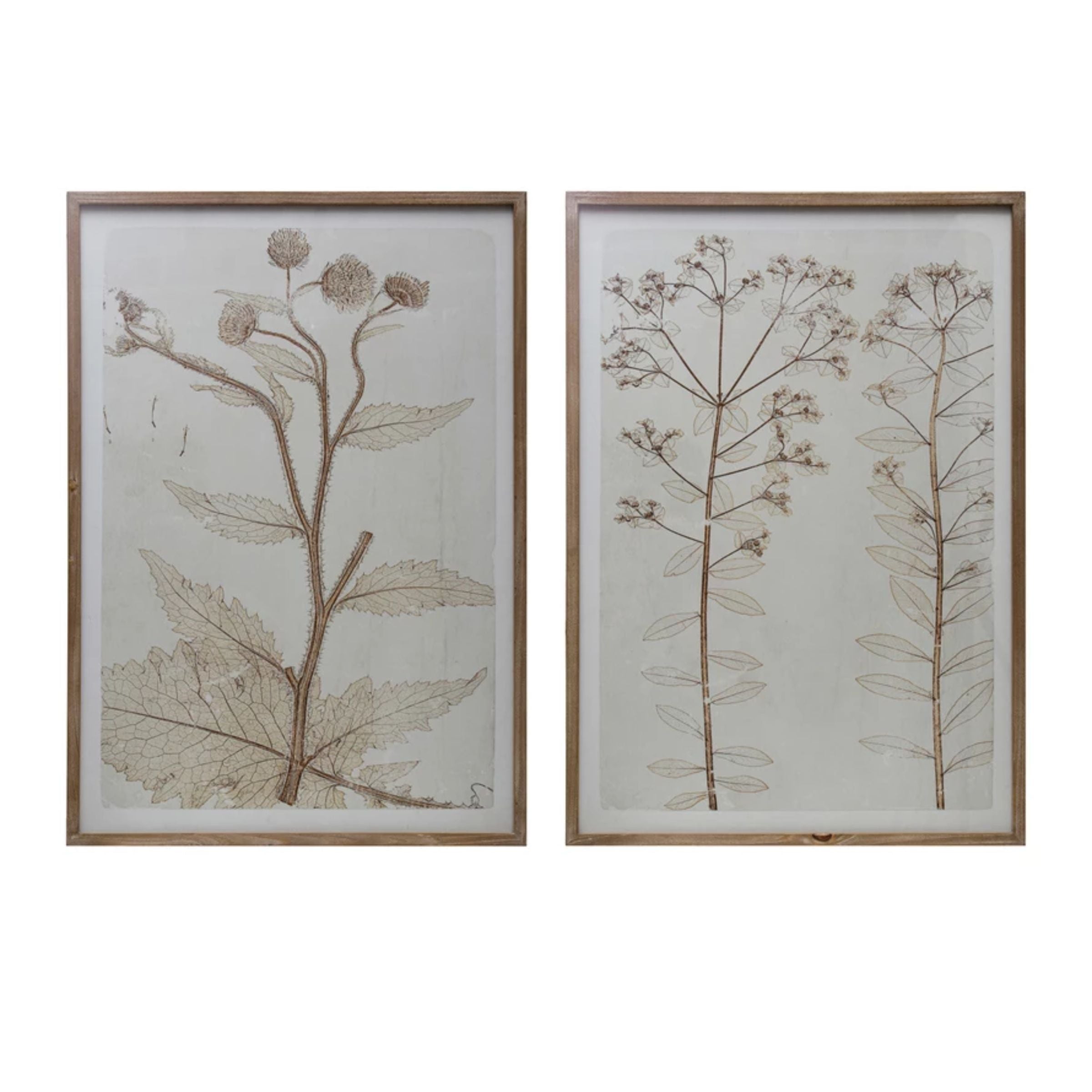 Flora Framed Wall Art
