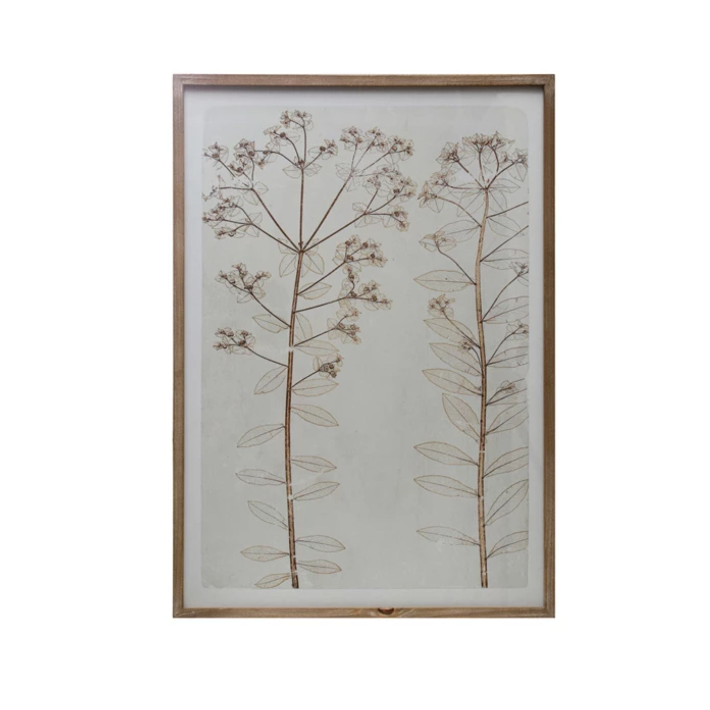 Flora Framed Wall Art