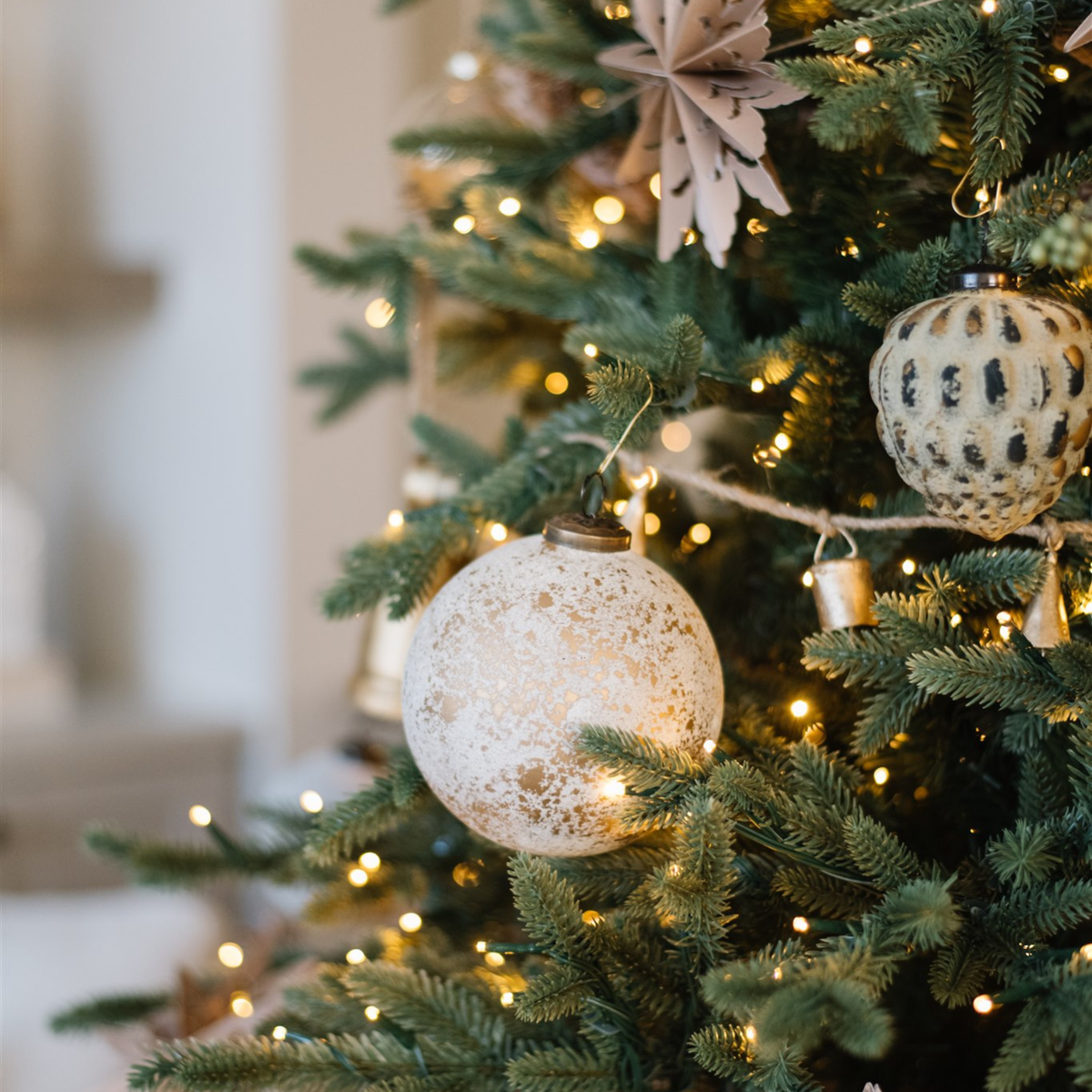 Holiday Tree Bundle | 7.5'