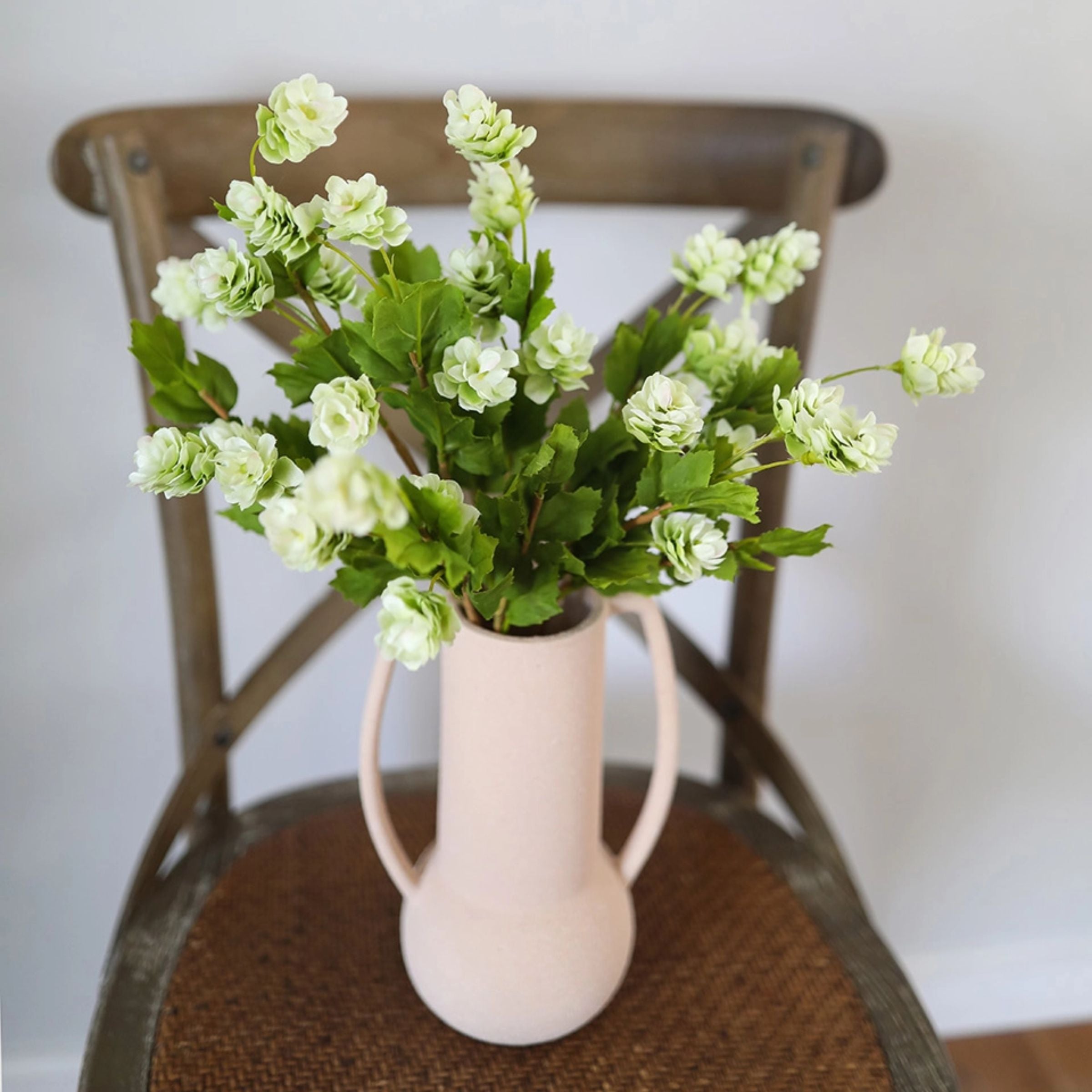 Hops Stem | Green