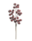Iced Burgundy Berry Pod Spray