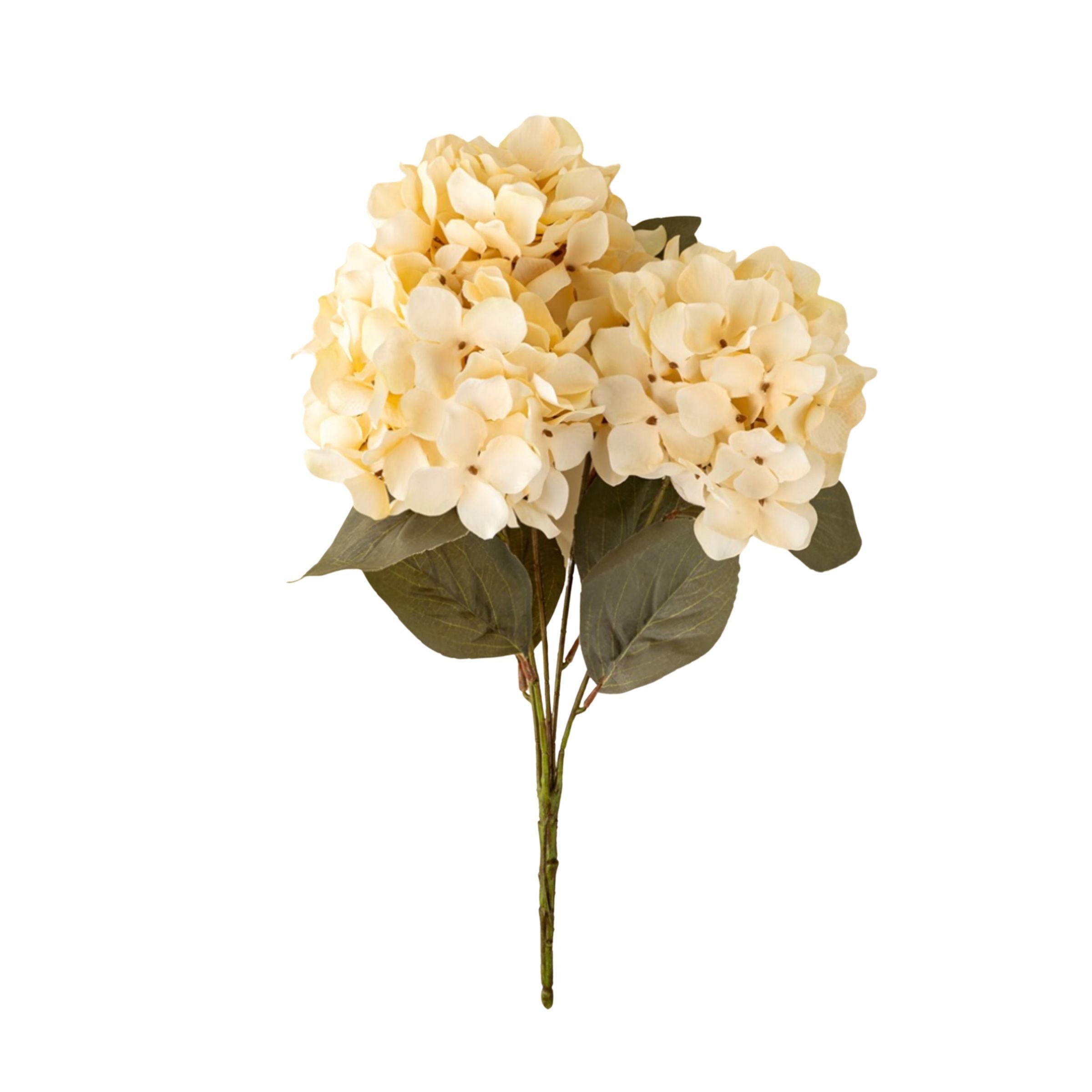 Spring Hydrangea Spray
