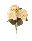 Spring Hydrangea Spray