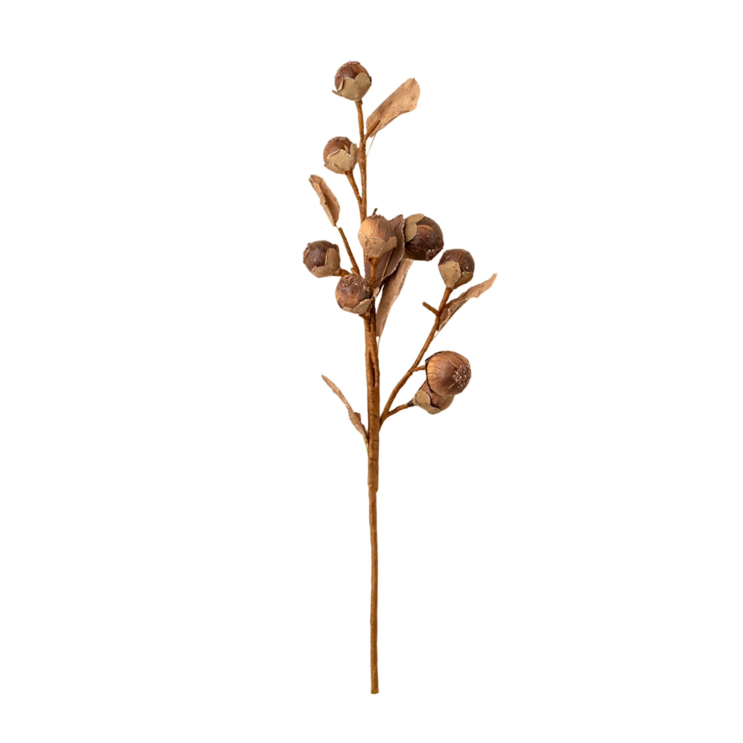 Autumn Nut Spray