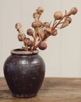 Autumn Nut Spray