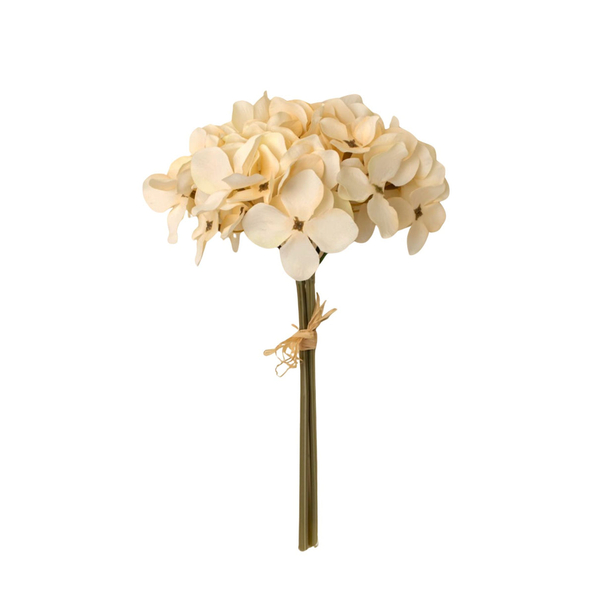 Hydrangea Bouquet | Cream
