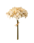 Hydrangea Bouquet | Cream
