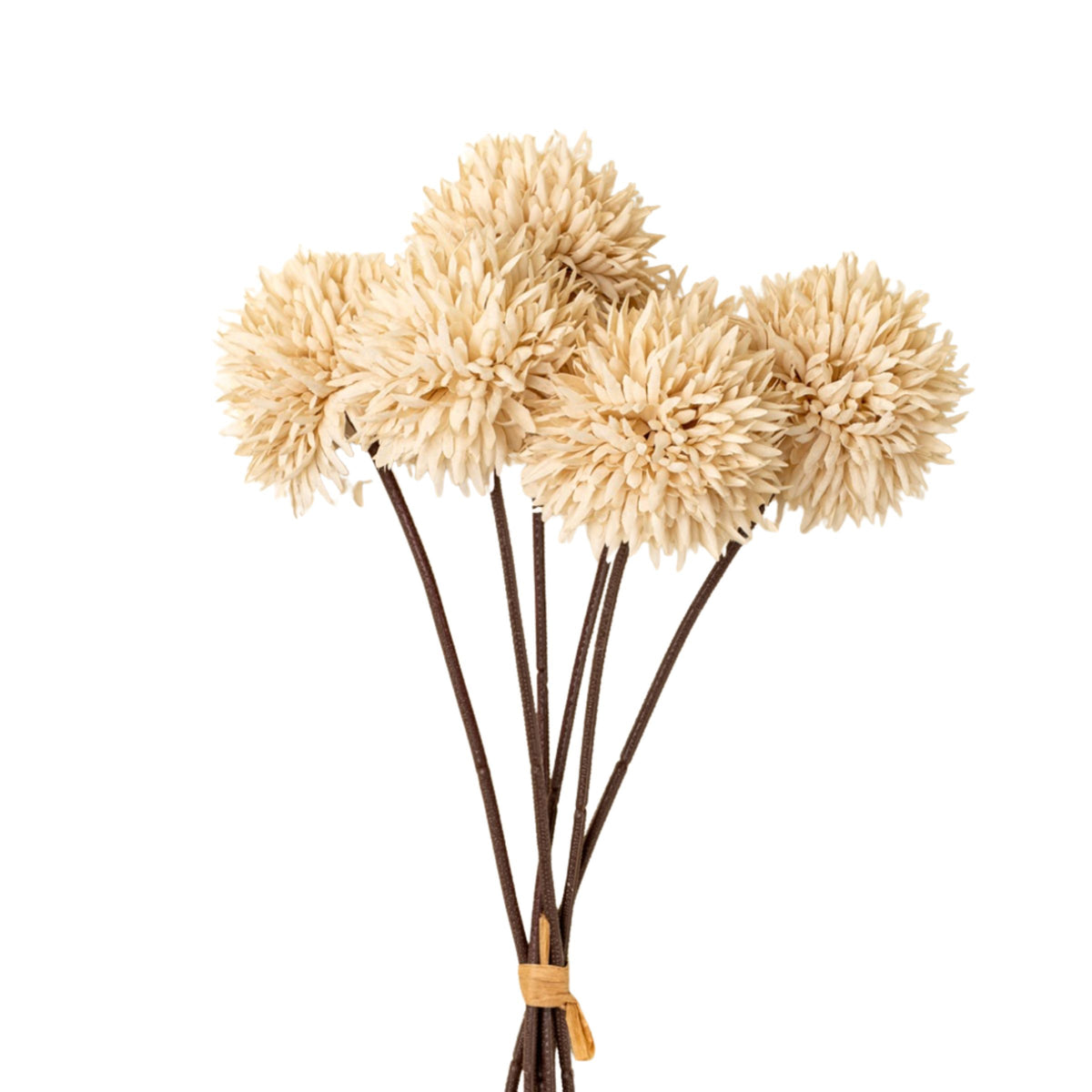 Mini Allium Bouquet | Cream
