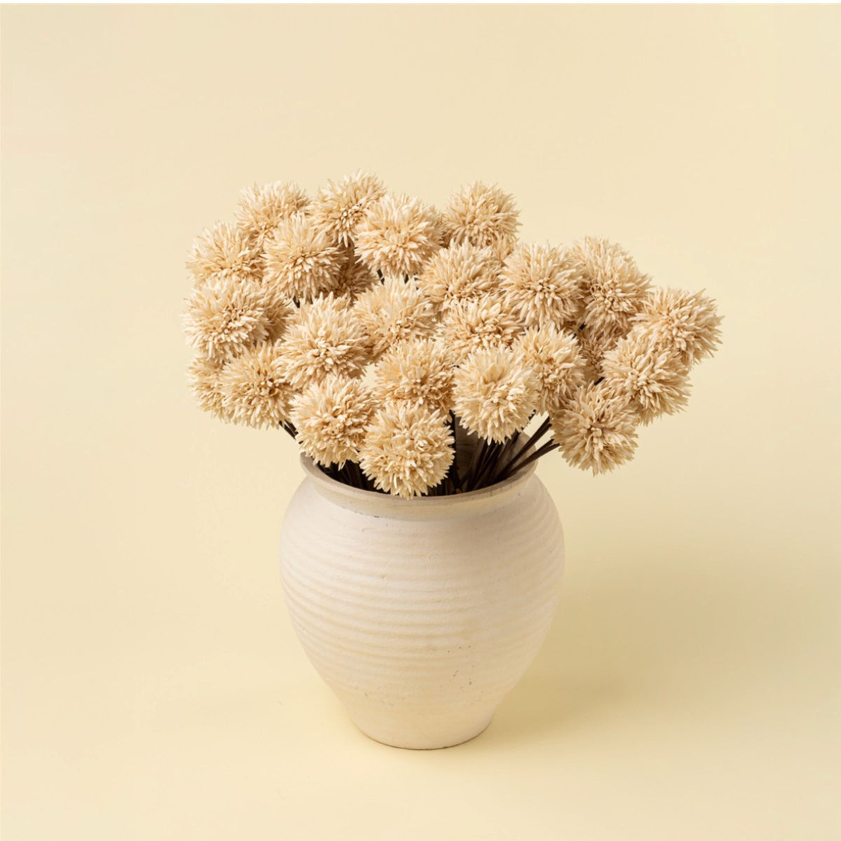 Mini Allium Bouquet | Cream
