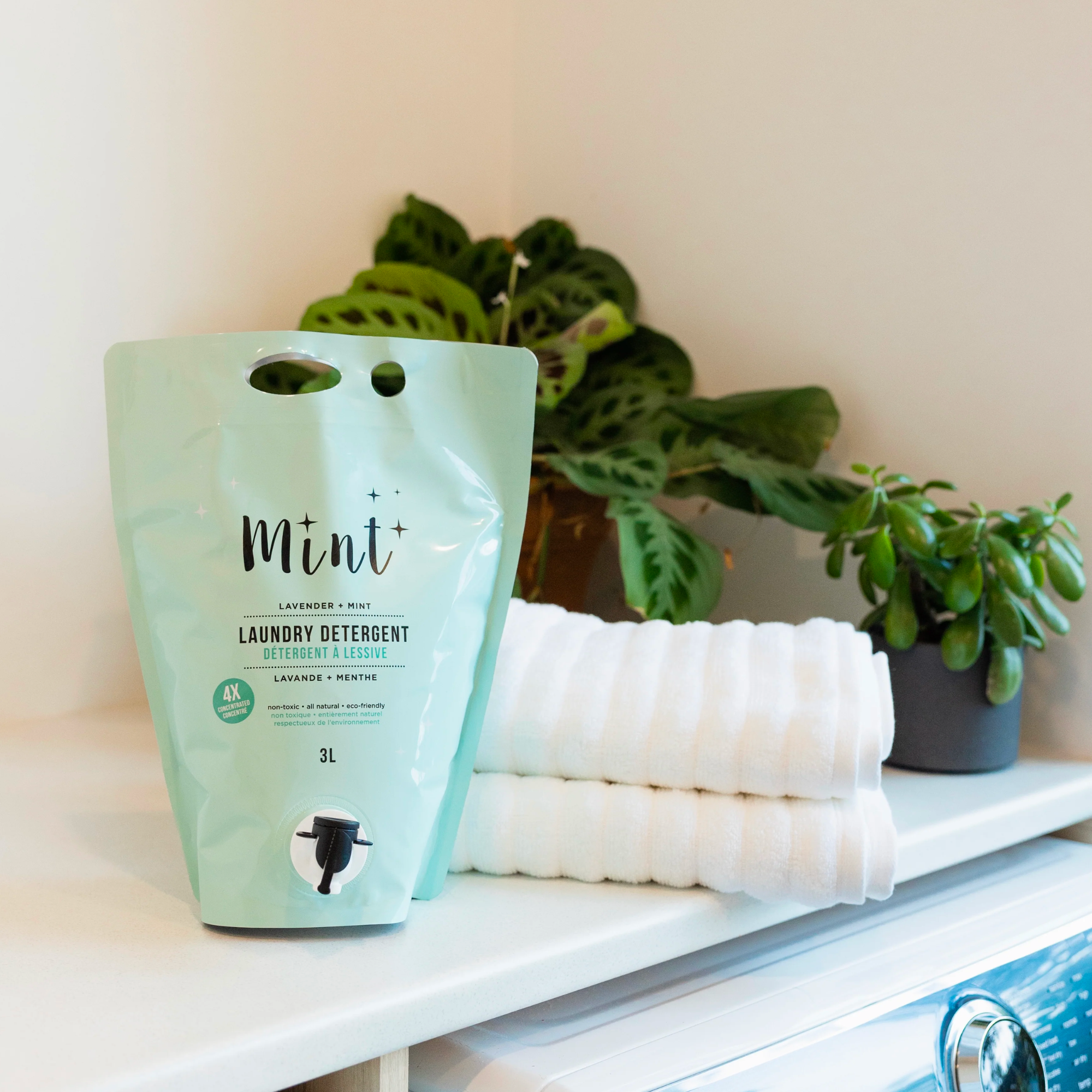 Mint Laundry Soap