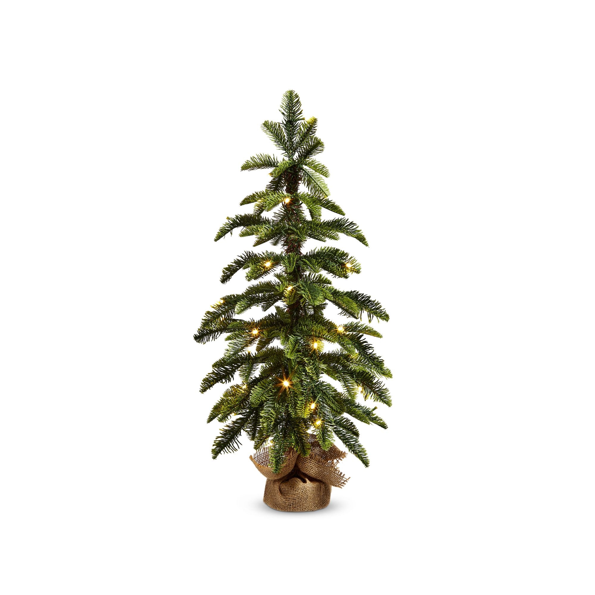 Lighted Pine Tree