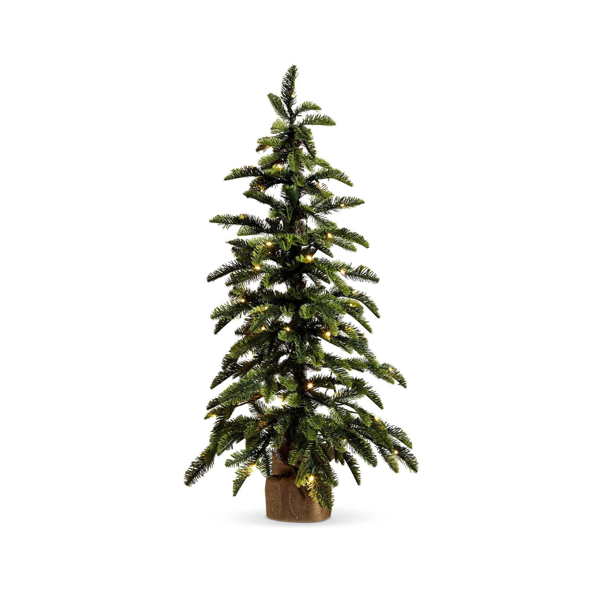 Lighted Pine Tree