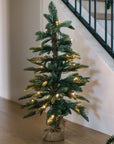 Lighted Pine Tree