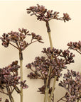 Meadow Grass Bouquet | Purple