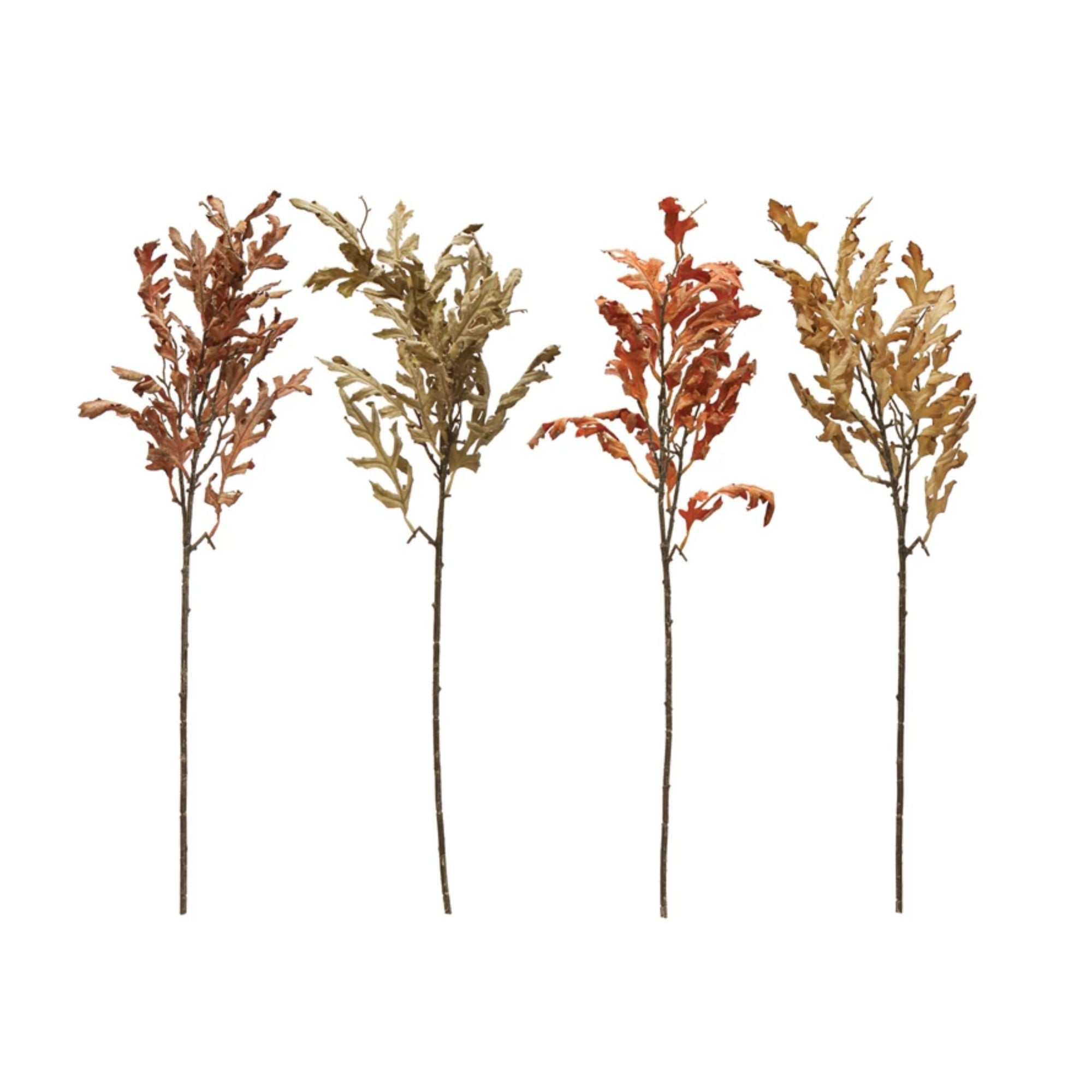 Oak Leaf Stem