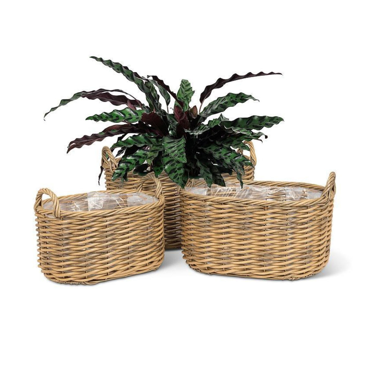 Odette Basket