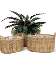 Odette Basket