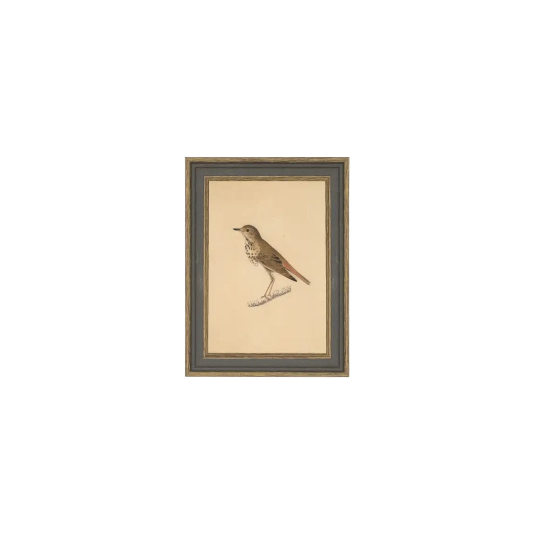 Bird Framed Antique Art