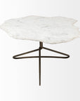 Pinera Coffee Table | Marble
