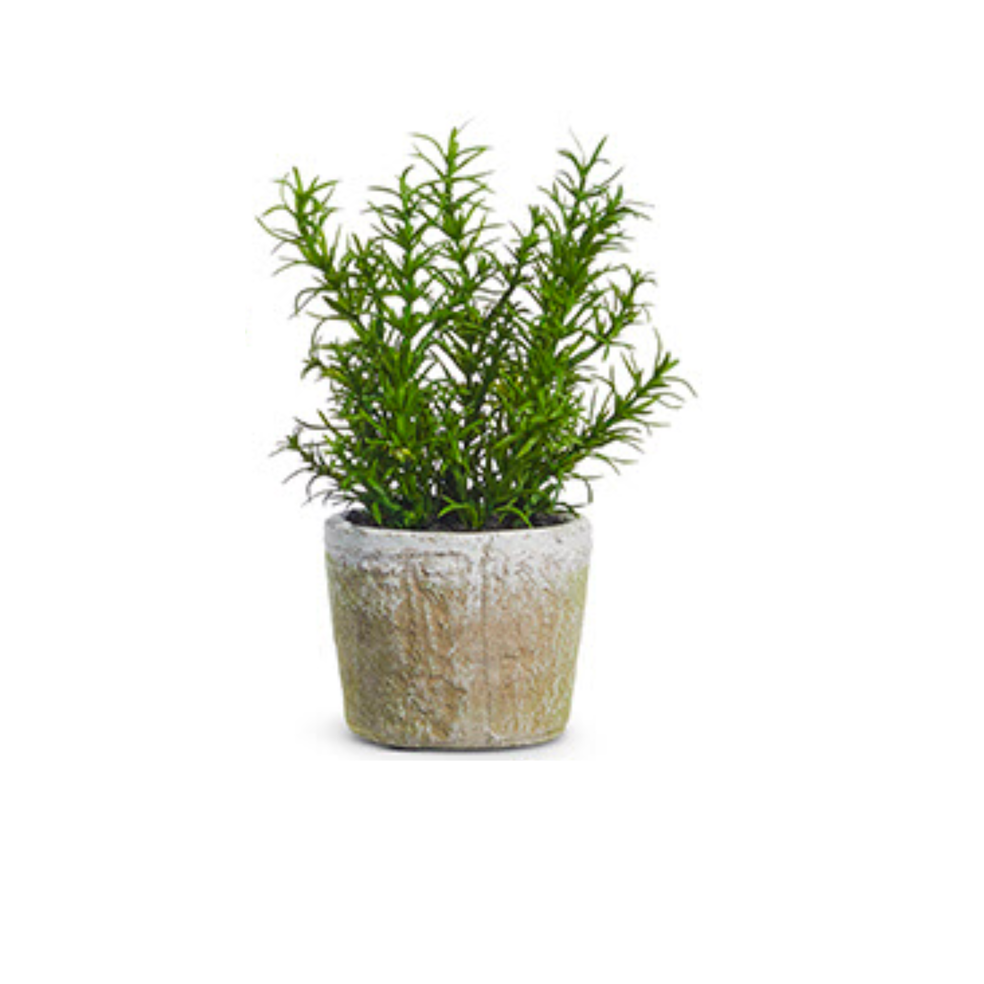 Potted Herb