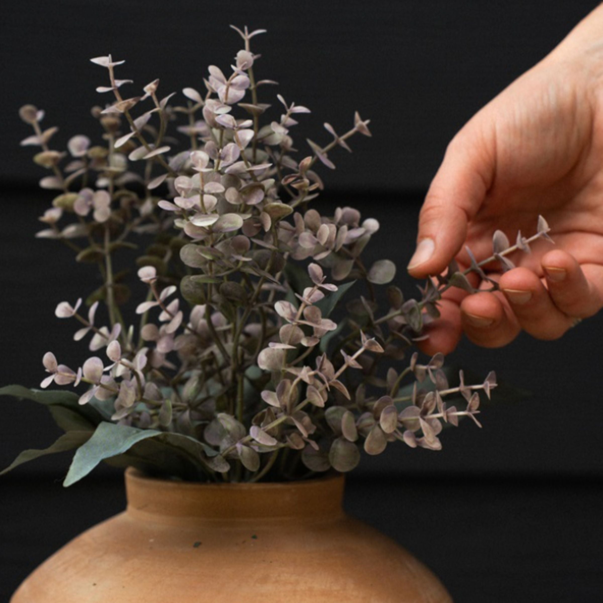 Primrue Eucalyptus Spray | Purple