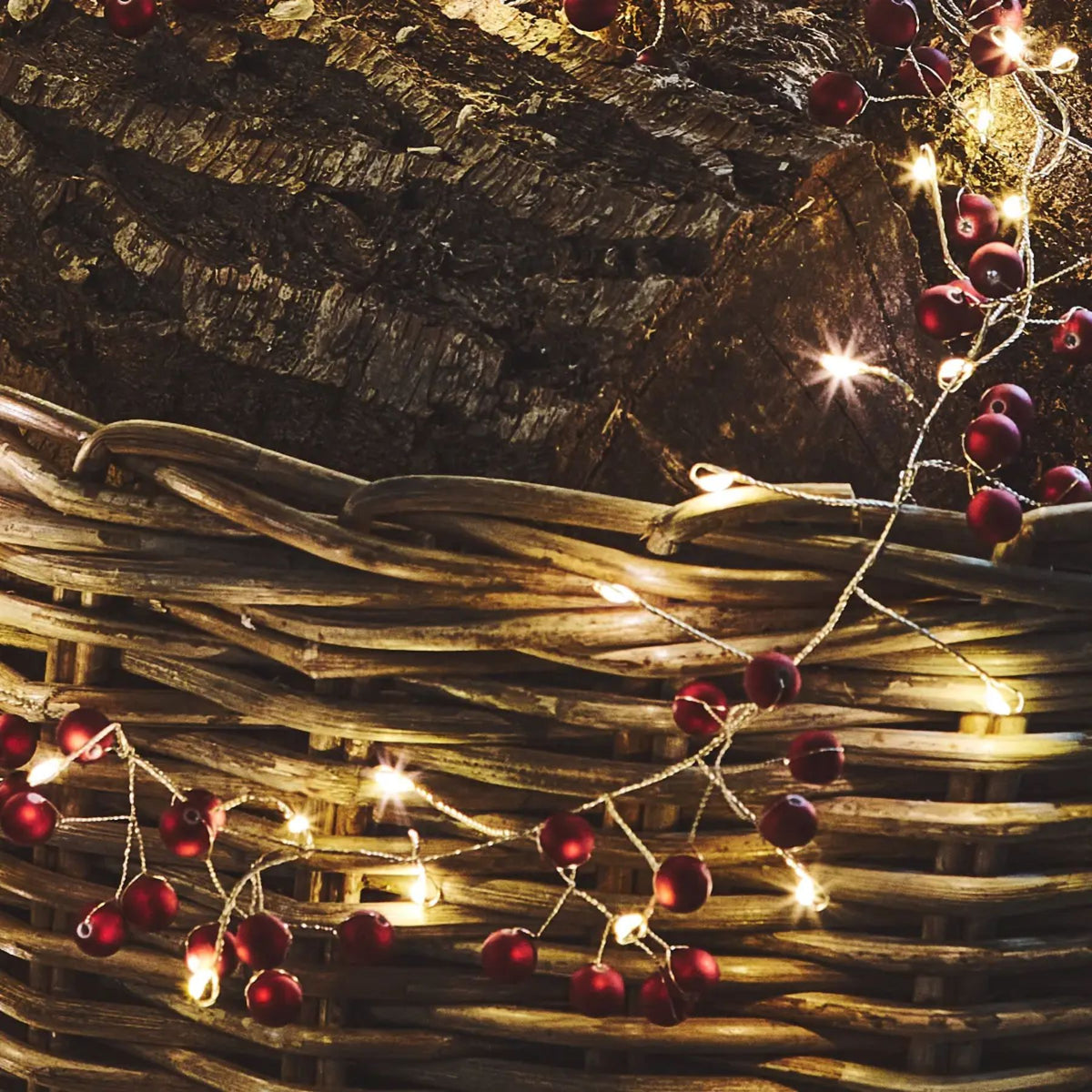 Red Berry Lights