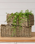 Scallop Edge Seagrass Basket