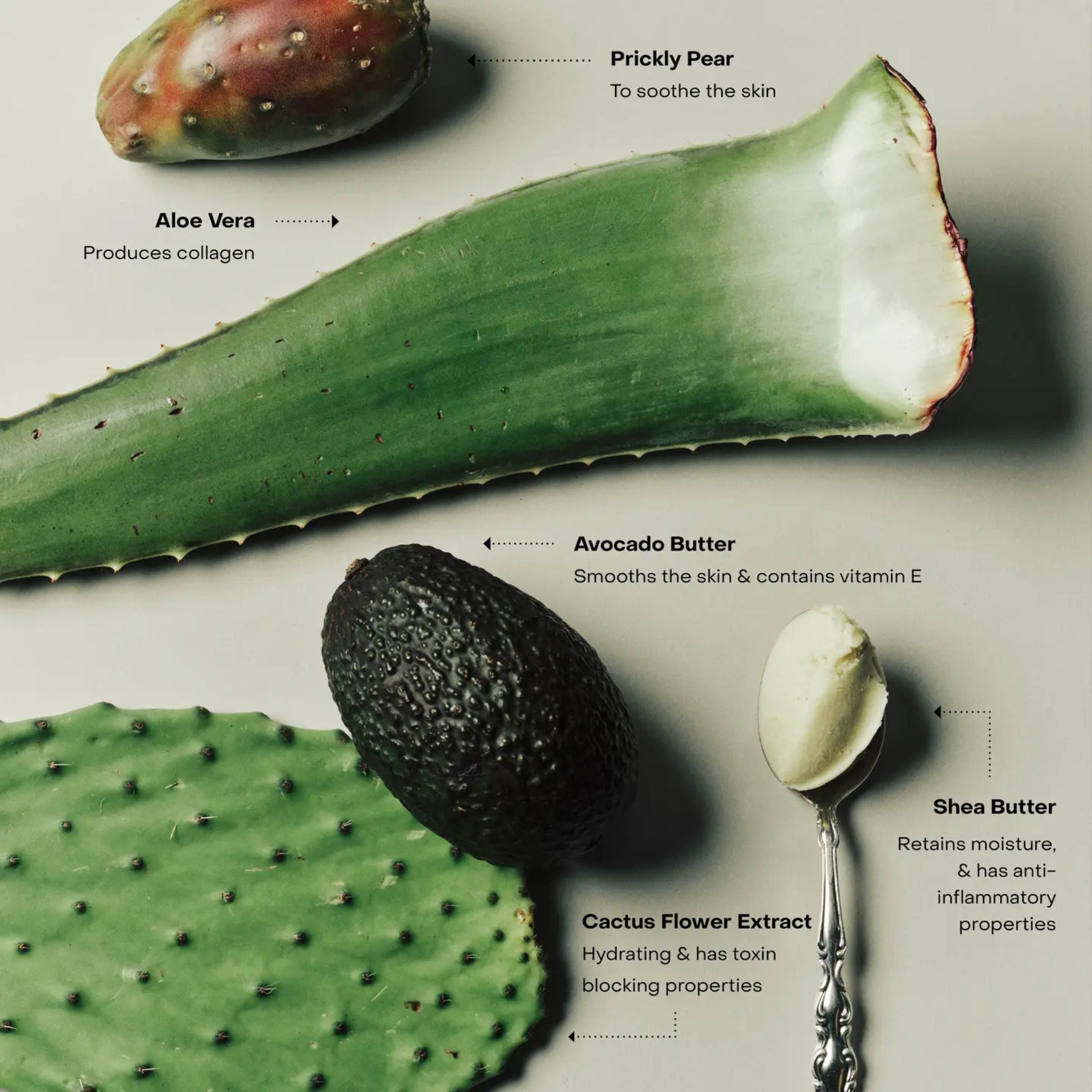 The Body Exfoliant | Wired
