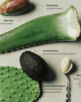 The Body Exfoliant | Wired