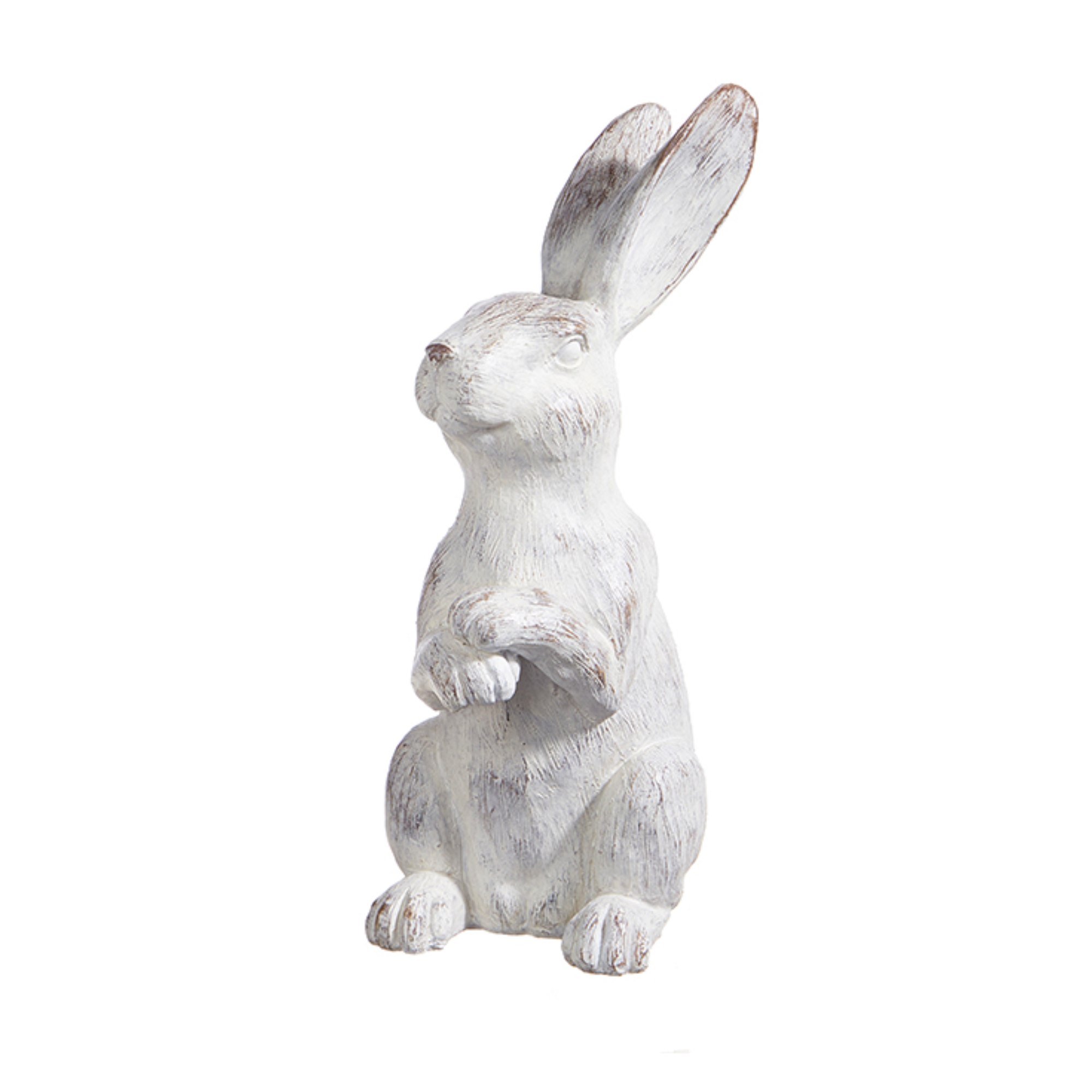 Spring Rabbit - II