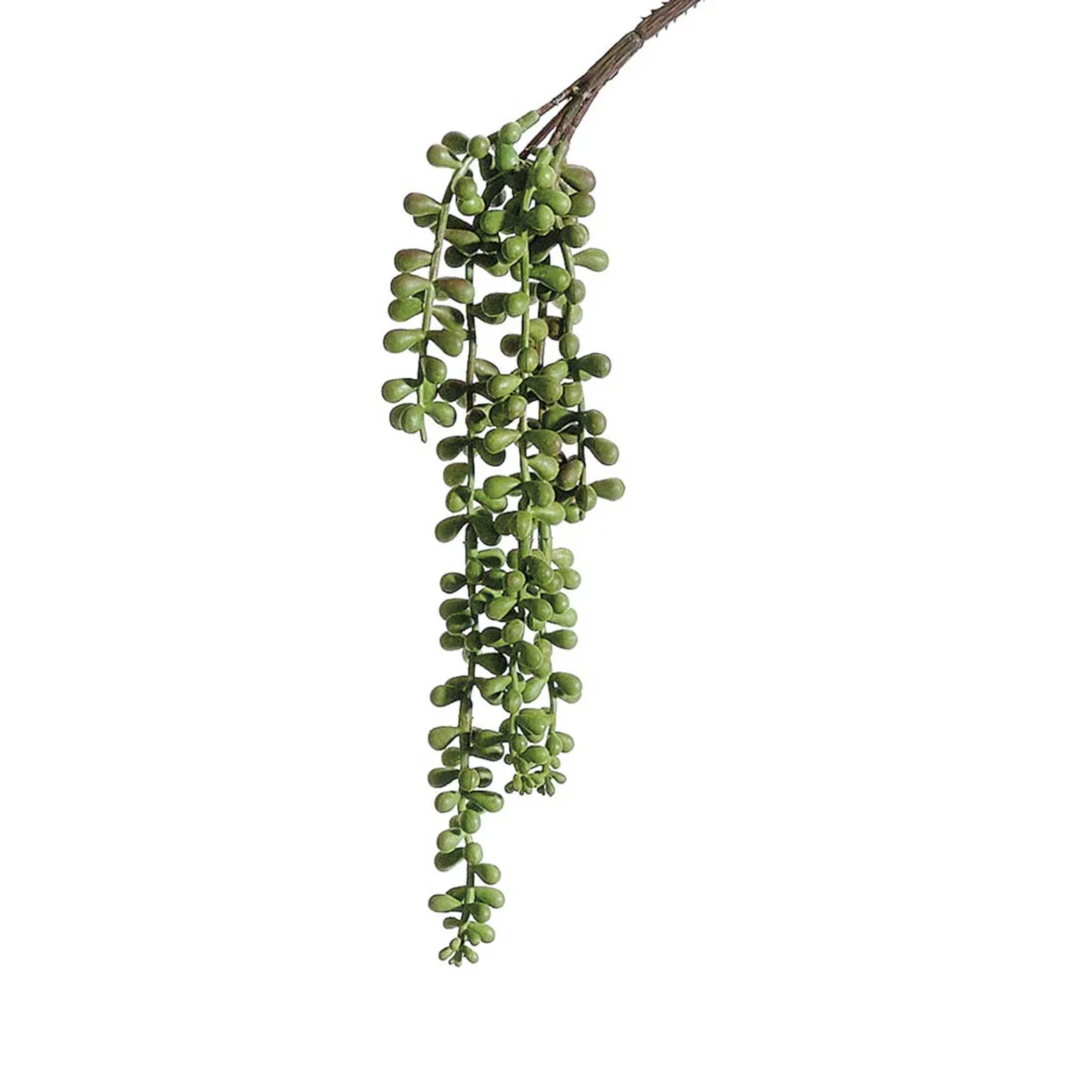 String Of Pearls