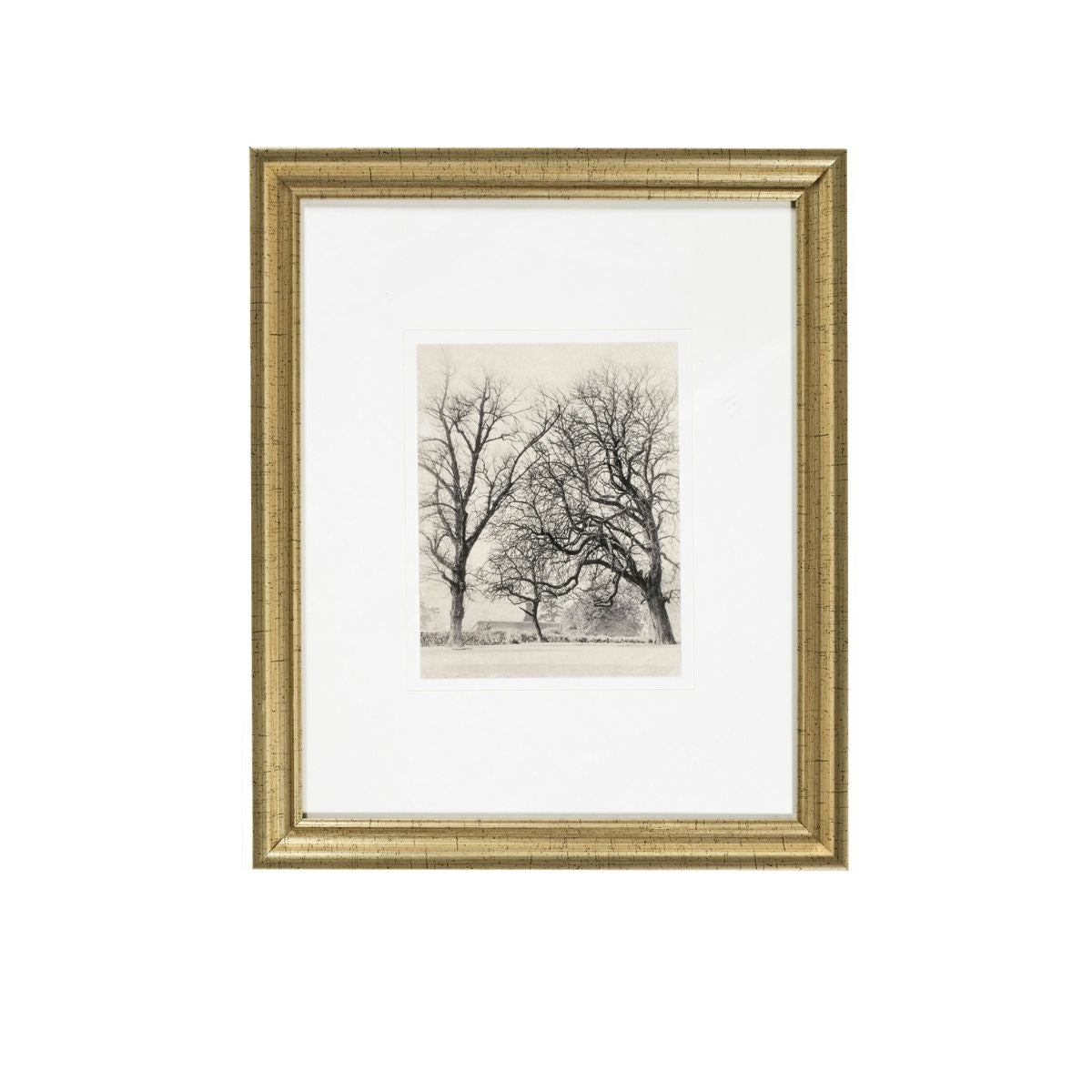 Coconino Framed Art