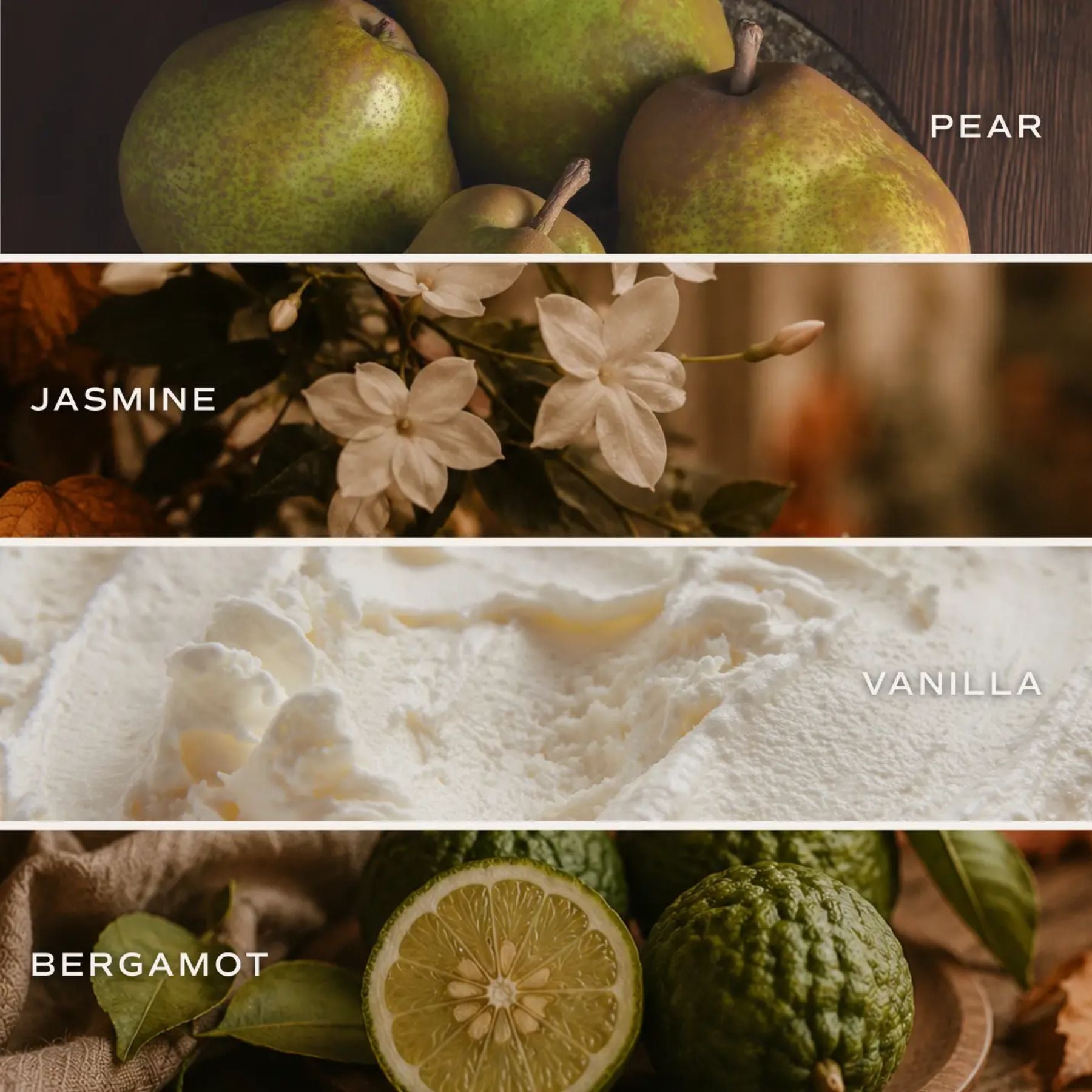 Cashmere + Vanilla Pumpkin Jar Candle