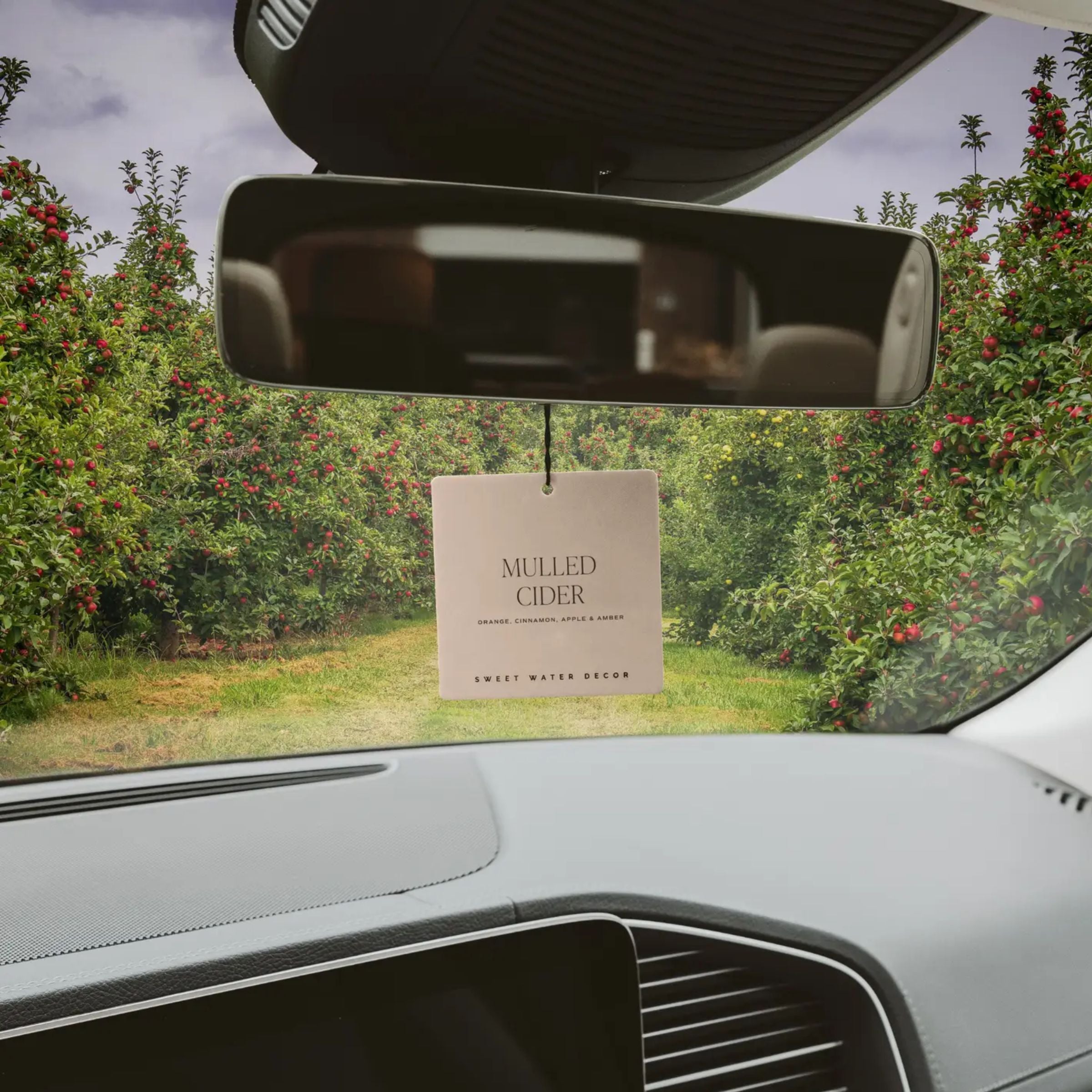 Mulled Cider Air Freshener